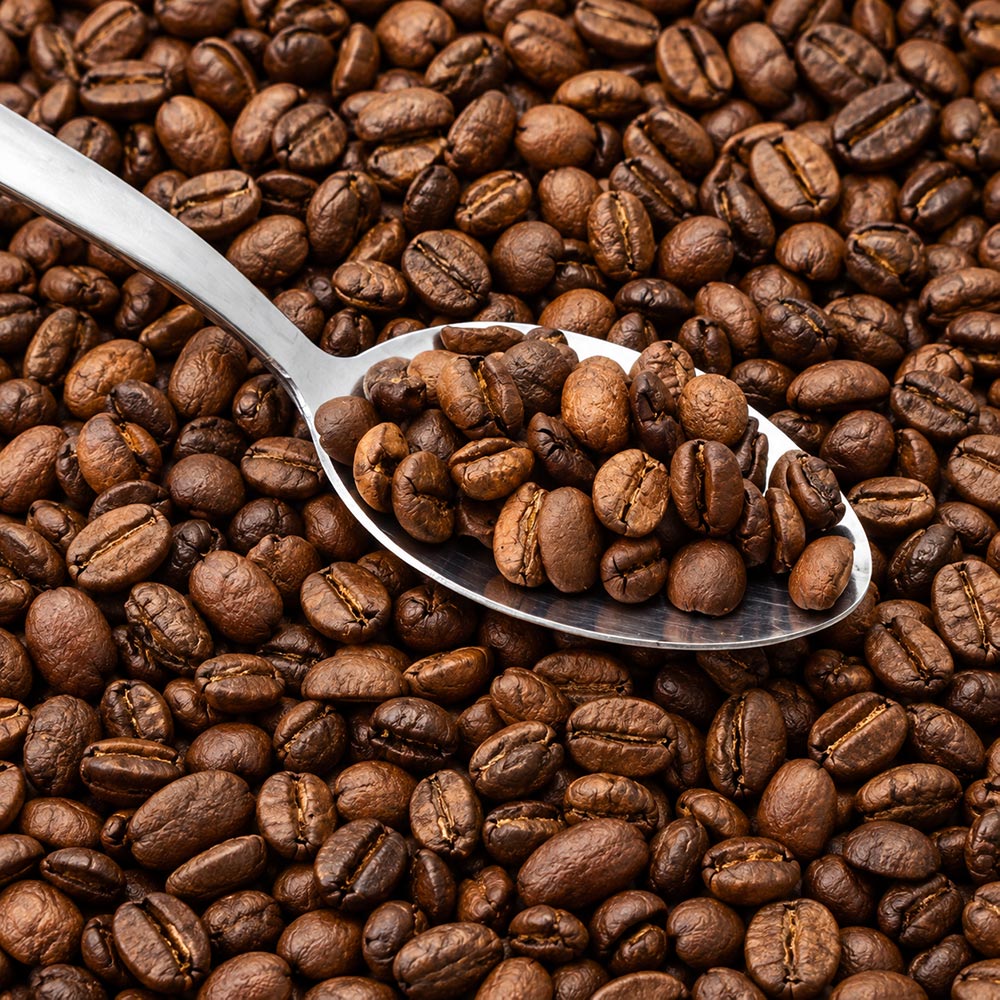 Damn Fine Coffee Artisan Specialty Coffee Roastery and Cafe Operations Sri Lanka